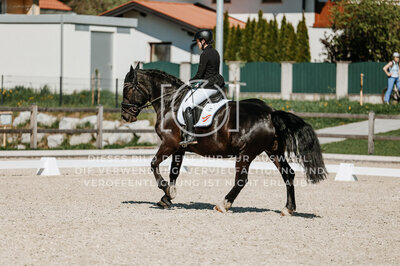 © Niki Buchegger, turnier-fotos.at