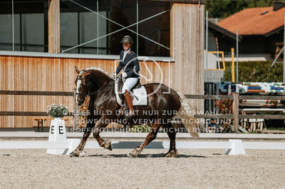 © Niki Buchegger, turnier-fotos.at