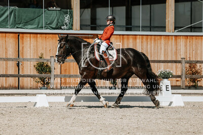 © Niki Buchegger, turnier-fotos.at