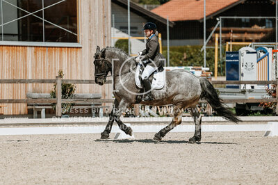 © Niki Buchegger, turnier-fotos.at