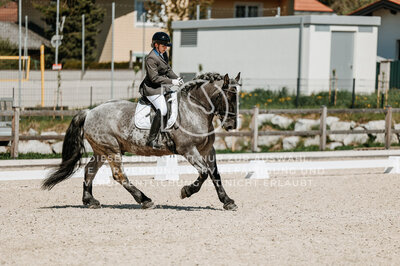 © Niki Buchegger, turnier-fotos.at