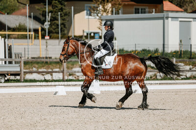 © Niki Buchegger, turnier-fotos.at