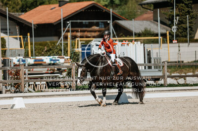 © Niki Buchegger, turnier-fotos.at