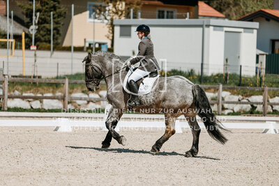 © Niki Buchegger, turnier-fotos.at