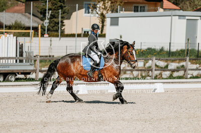 © Niki Buchegger, turnier-fotos.at