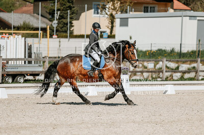 © Niki Buchegger, turnier-fotos.at