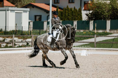 © Niki Buchegger, turnier-fotos.at