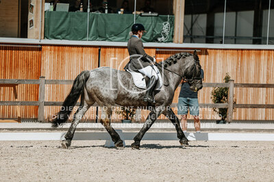 © Niki Buchegger, turnier-fotos.at