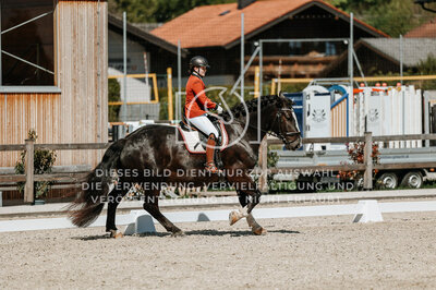 © Niki Buchegger, turnier-fotos.at