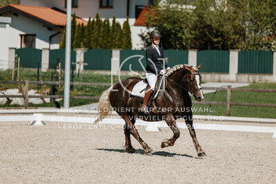 © Niki Buchegger, turnier-fotos.at