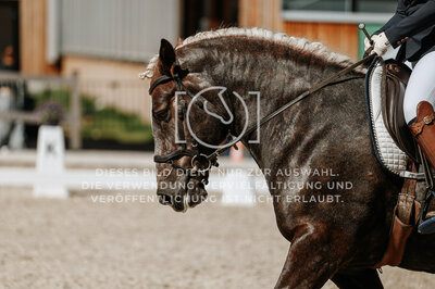© Niki Buchegger, turnier-fotos.at