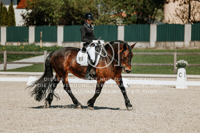 © Niki Buchegger, turnier-fotos.at