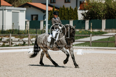 © Niki Buchegger, turnier-fotos.at
