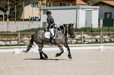 © Niki Buchegger, turnier-fotos.at