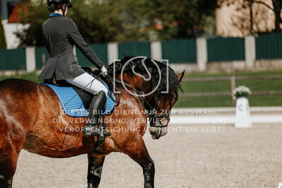 © Niki Buchegger, turnier-fotos.at