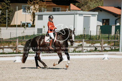 © Niki Buchegger, turnier-fotos.at