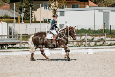 © Niki Buchegger, turnier-fotos.at