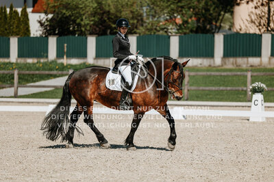 © Niki Buchegger, turnier-fotos.at