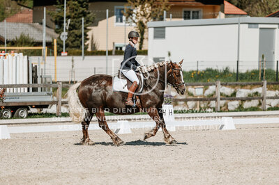 © Niki Buchegger, turnier-fotos.at