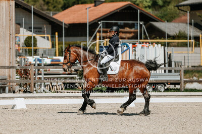 © Niki Buchegger, turnier-fotos.at