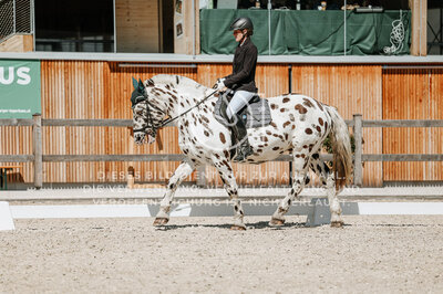 © Niki Buchegger, turnier-fotos.at