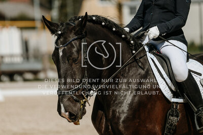 © Niki Buchegger, turnier-fotos.at