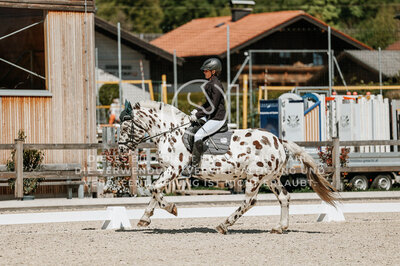 © Niki Buchegger, turnier-fotos.at