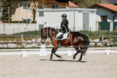 © Niki Buchegger, turnier-fotos.at