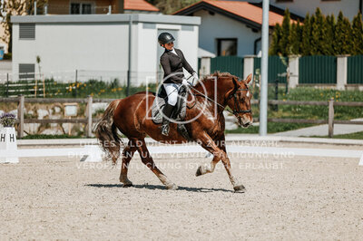 © Niki Buchegger, turnier-fotos.at