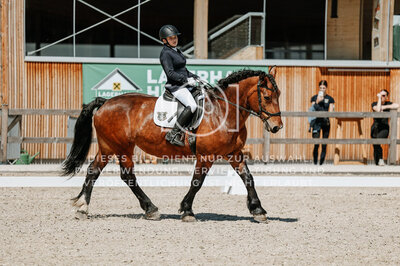 © Niki Buchegger, turnier-fotos.at