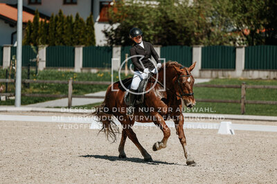 © Niki Buchegger, turnier-fotos.at