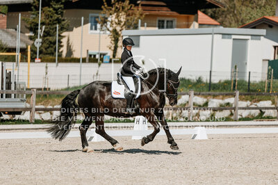 © Niki Buchegger, turnier-fotos.at