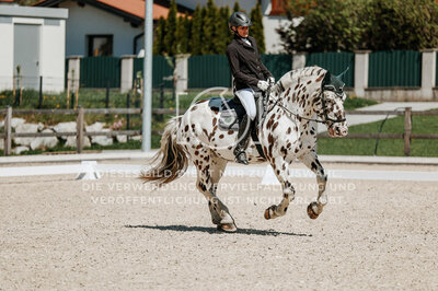 © Niki Buchegger, turnier-fotos.at