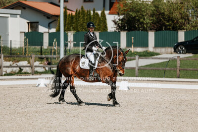 © Niki Buchegger, turnier-fotos.at