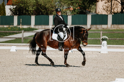 © Niki Buchegger, turnier-fotos.at
