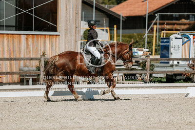 © Niki Buchegger, turnier-fotos.at