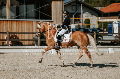 © Niki Buchegger, turnier-fotos.at