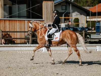 © Niki Buchegger, turnier-fotos.at
