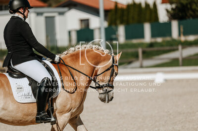 © Niki Buchegger, turnier-fotos.at
