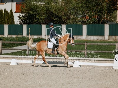 © Niki Buchegger, turnier-fotos.at