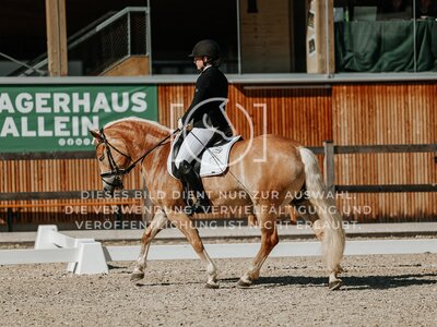 © Niki Buchegger, turnier-fotos.at