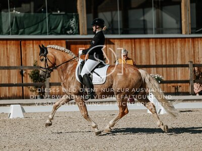 © Niki Buchegger, turnier-fotos.at