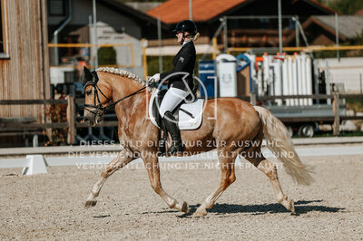 © Niki Buchegger, turnier-fotos.at