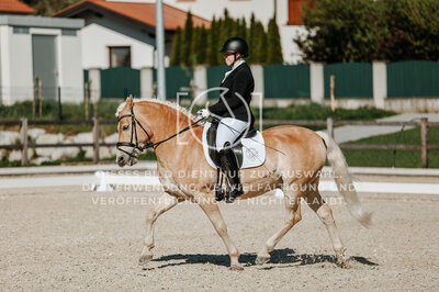 © Niki Buchegger, turnier-fotos.at