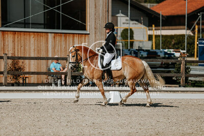 © Niki Buchegger, turnier-fotos.at