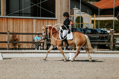 © Niki Buchegger, turnier-fotos.at