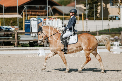© Niki Buchegger, turnier-fotos.at