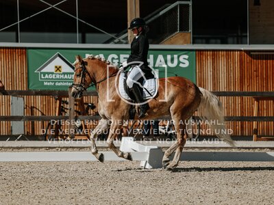 © Niki Buchegger, turnier-fotos.at