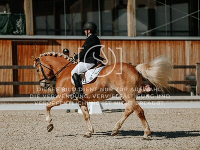 © Niki Buchegger, turnier-fotos.at