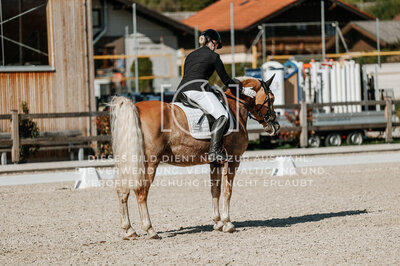 © Niki Buchegger, turnier-fotos.at
